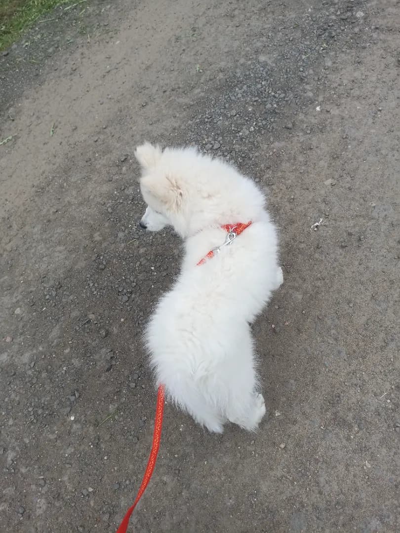 carousel-image-mobile-4