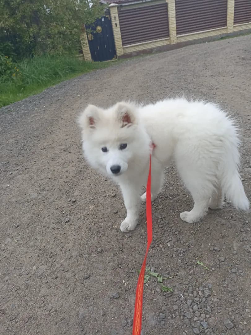 carousel-image-mobile-5