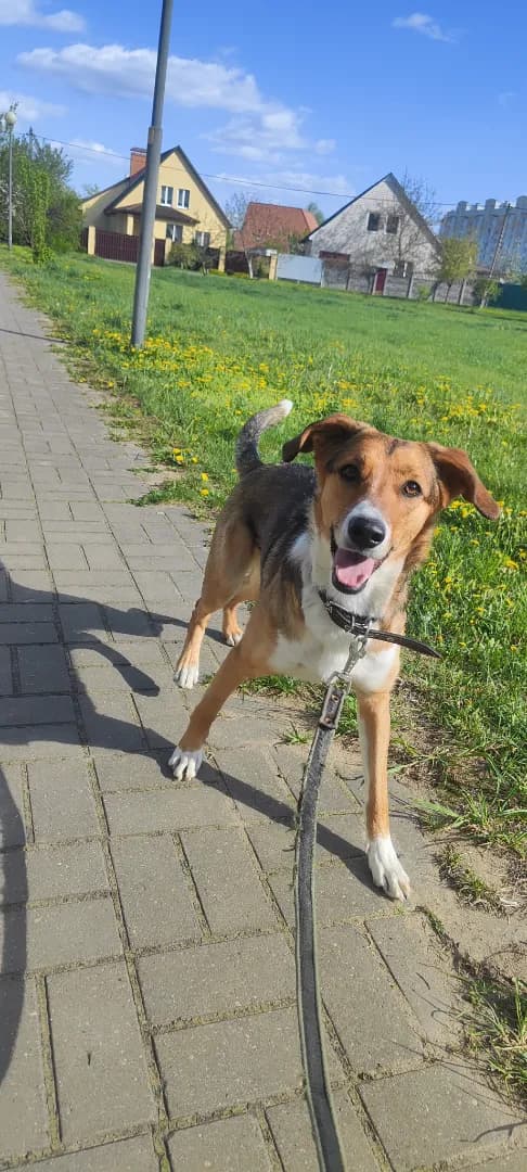 carousel-image-mobile-2