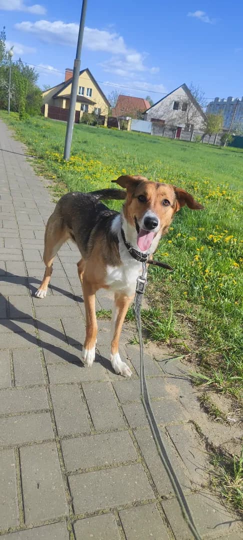 carousel-image-mobile-3