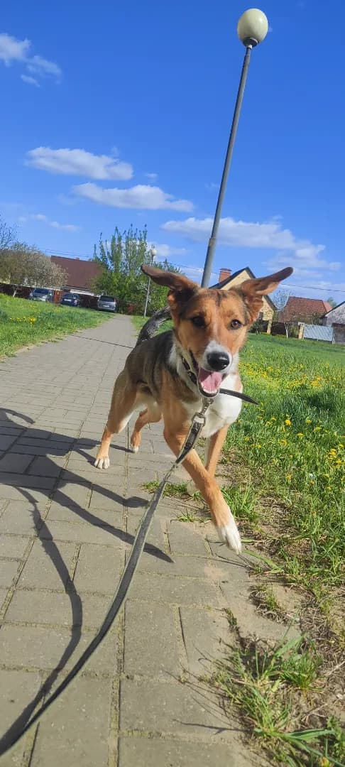 carousel-image-mobile-4