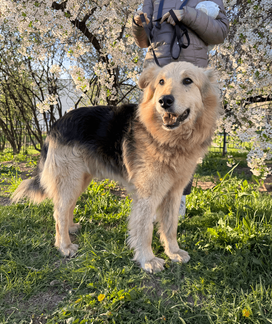 carousel-image-mobile-1