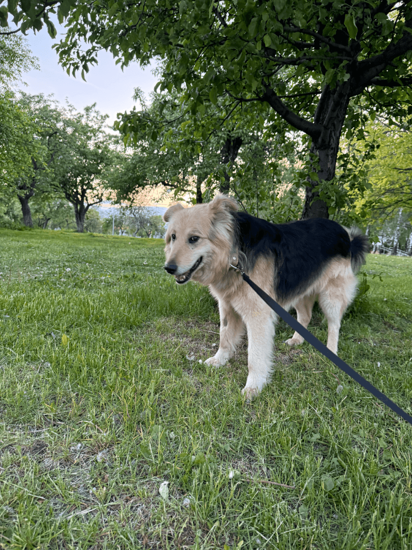 carousel-image-mobile-2