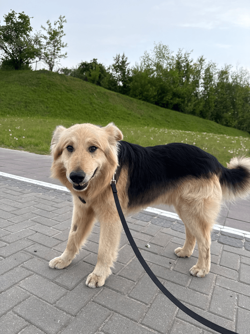 carousel-image-mobile-3