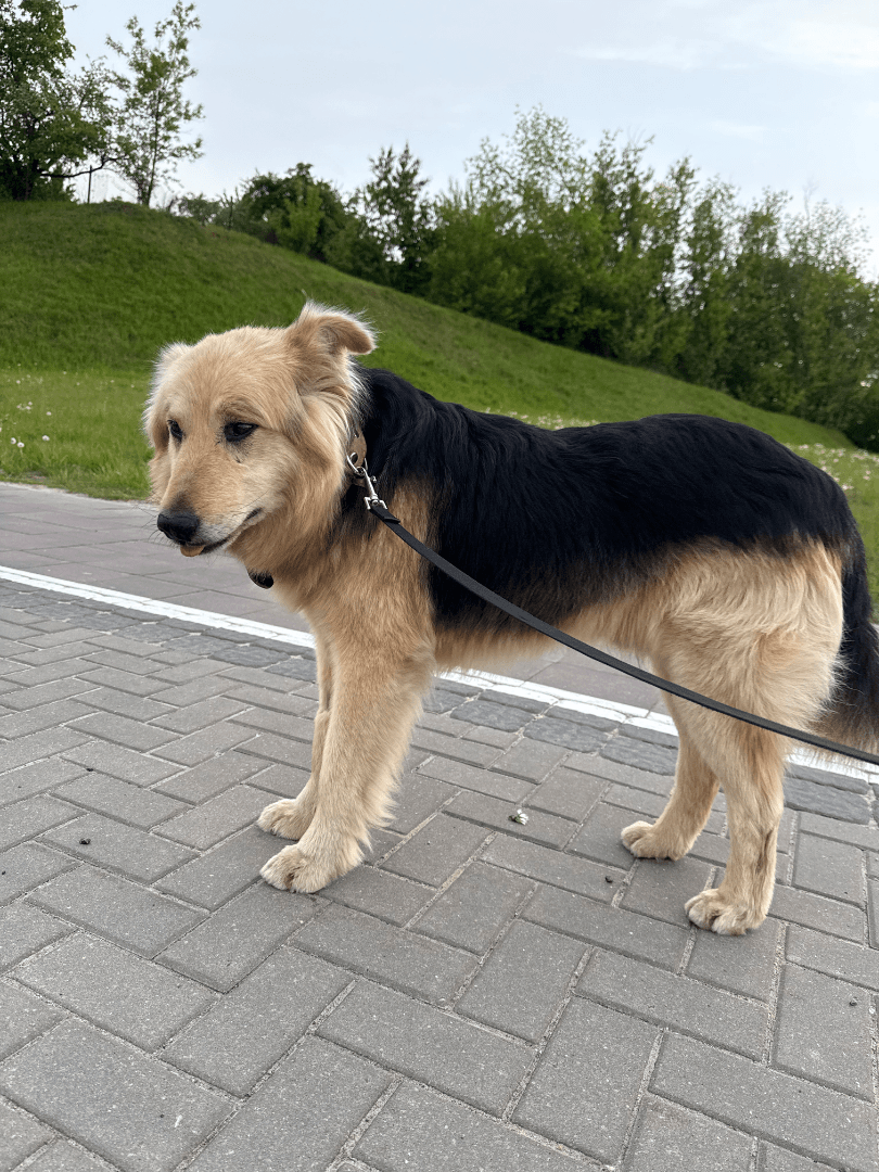 carousel-image-mobile-4