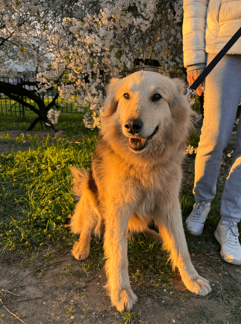 carousel-image-mobile-5