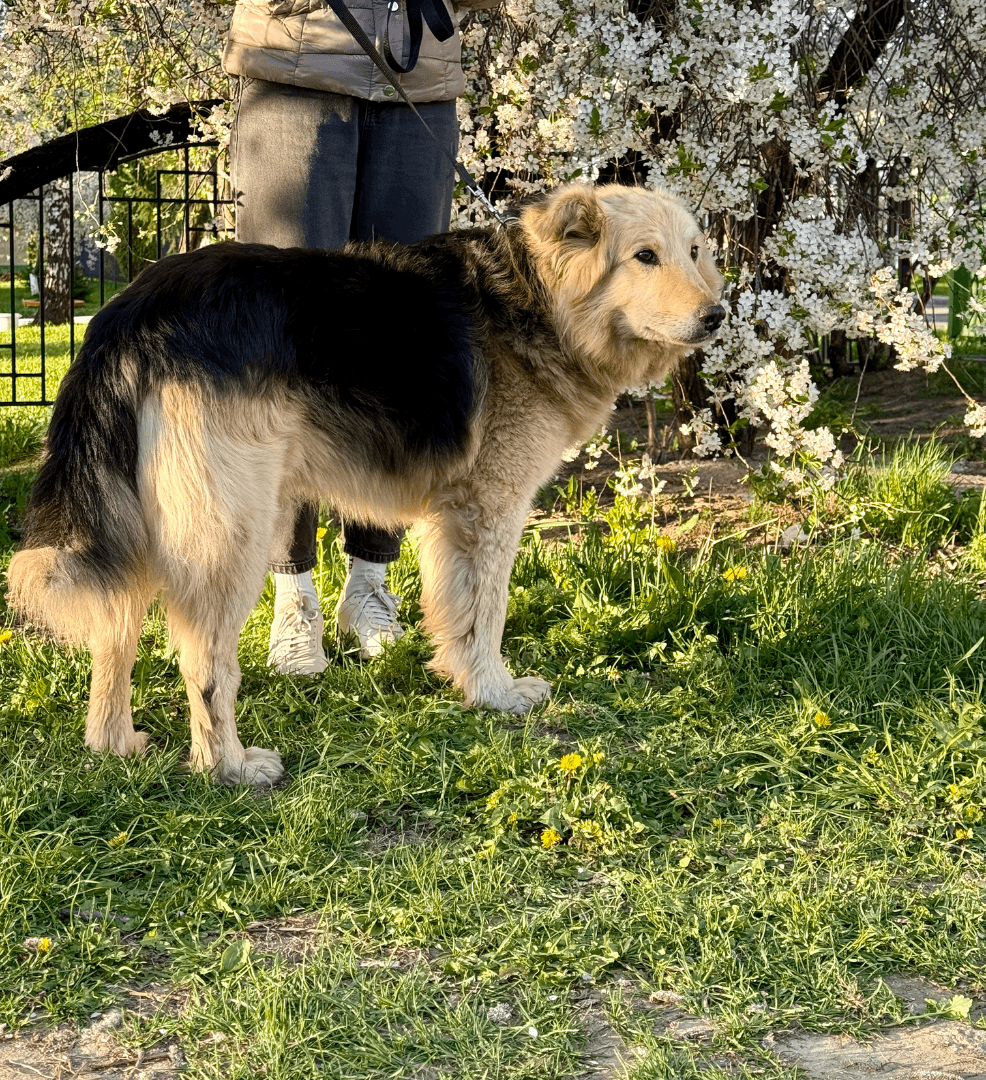 carousel-image-mobile-6