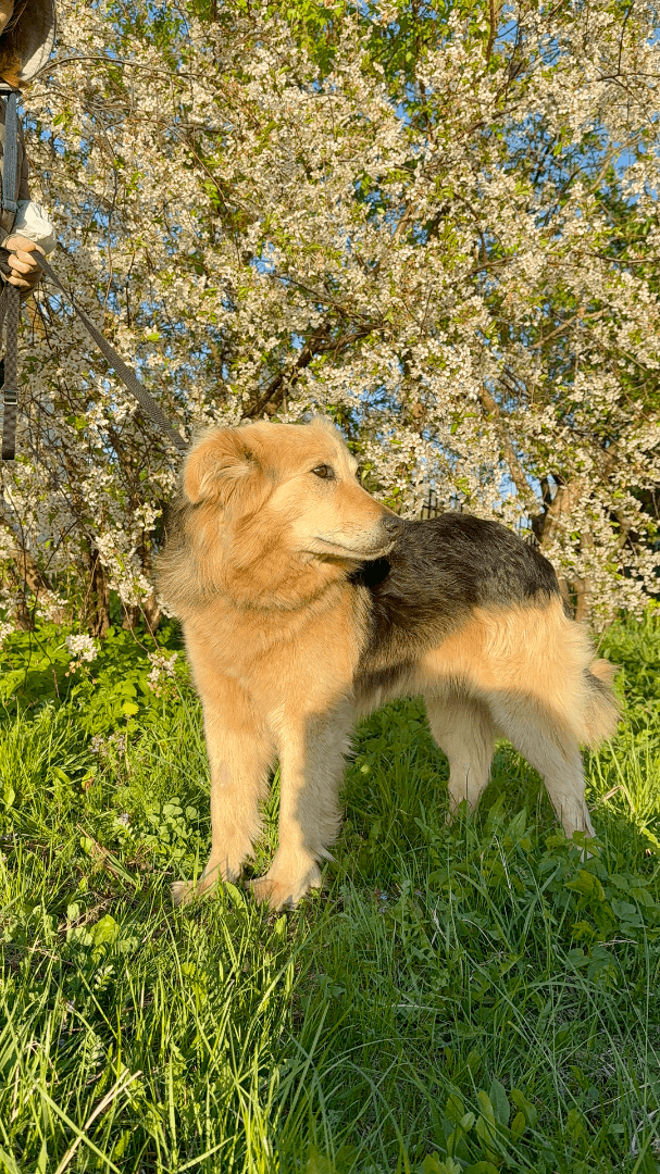 carousel-image-mobile-7