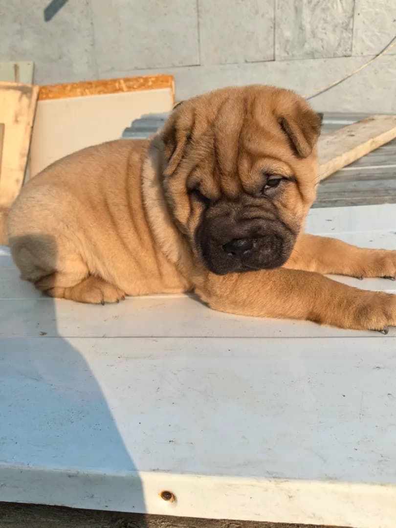 carousel-image-mobile-1