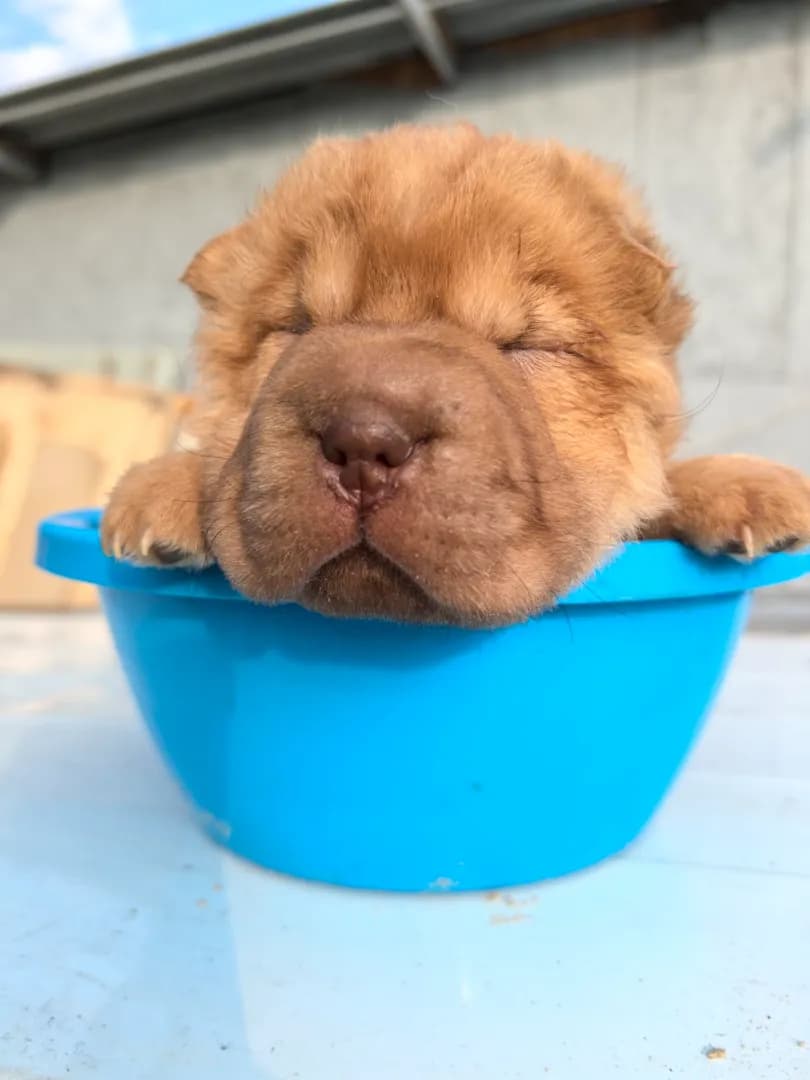 carousel-image-mobile-2