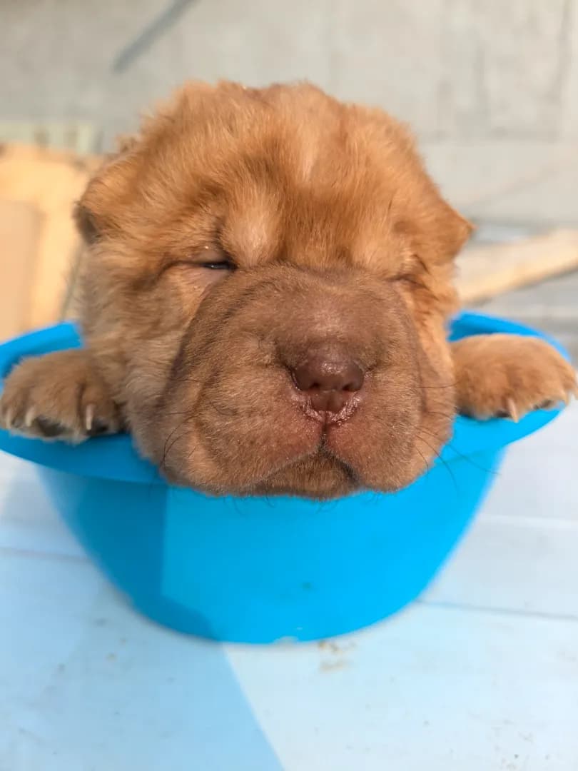 carousel-image-mobile-3