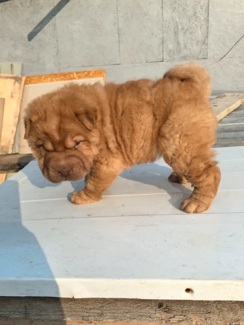 carousel-image-mobile-4