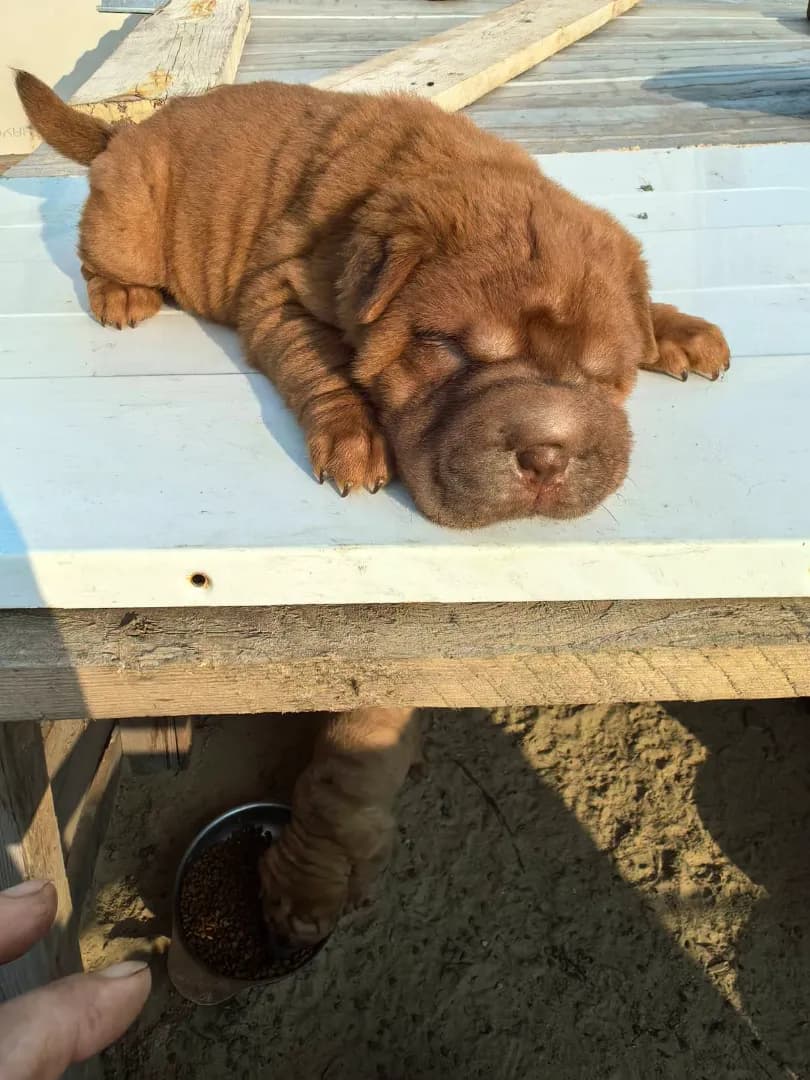 carousel-image-mobile-5