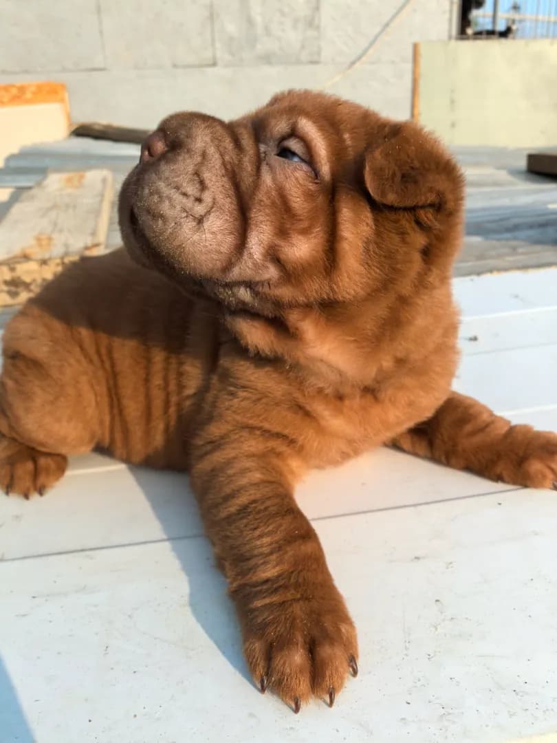 carousel-image-mobile-6