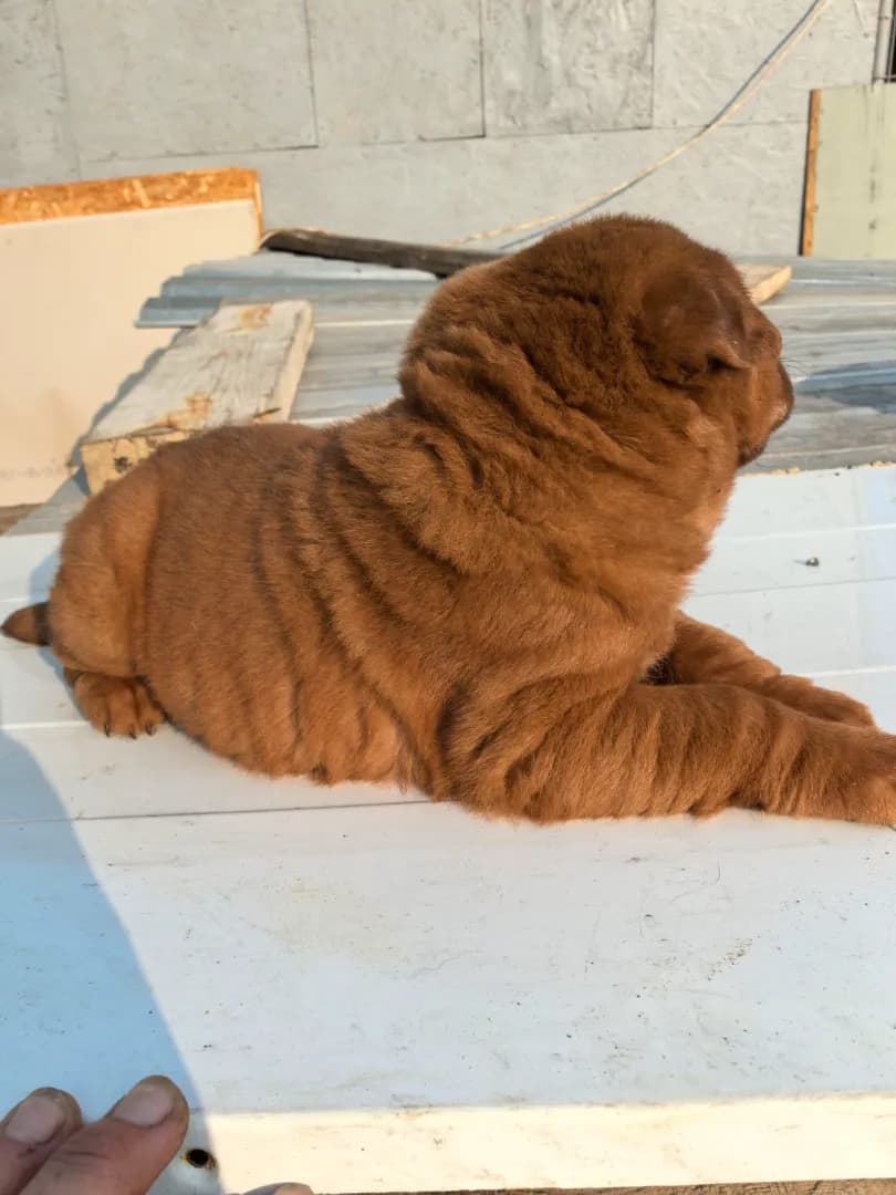 carousel-image-mobile-7