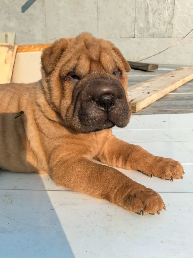 carousel-image-mobile-9