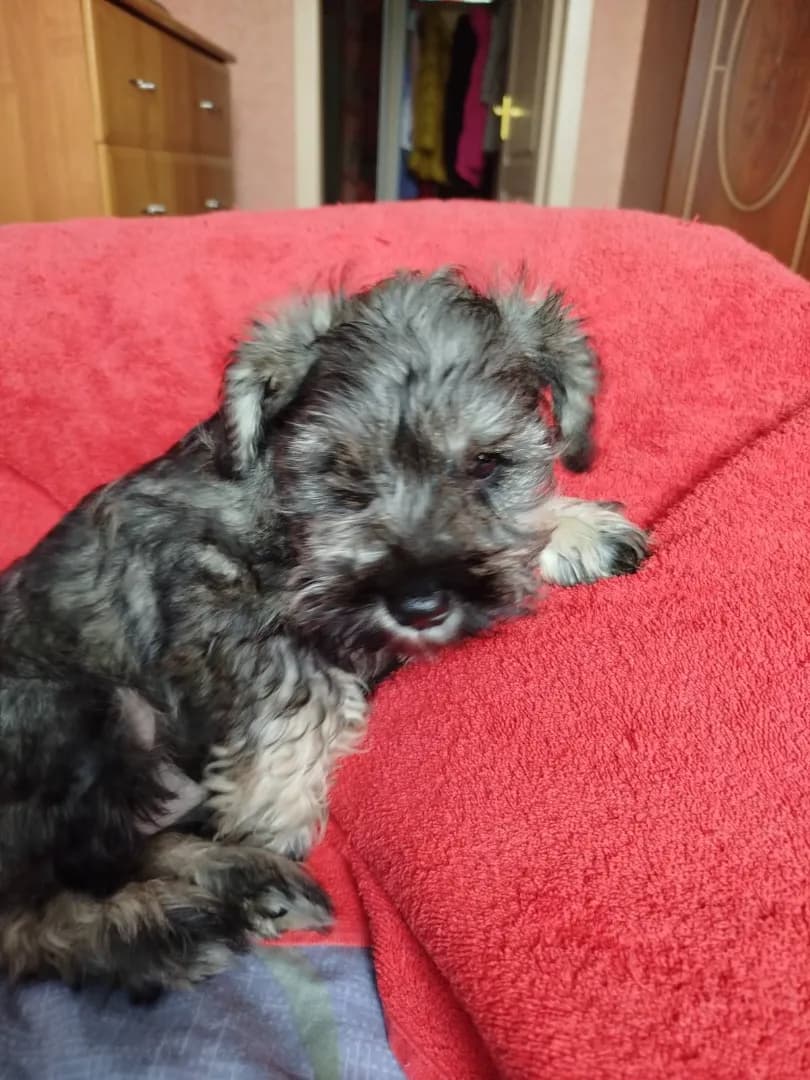 carousel-image-mobile-1