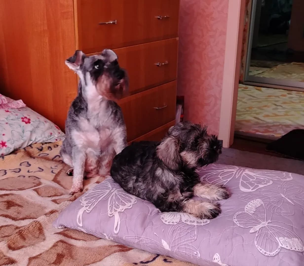 carousel-image-mobile-2