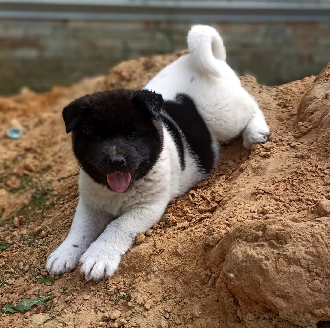 carousel-image-mobile-1