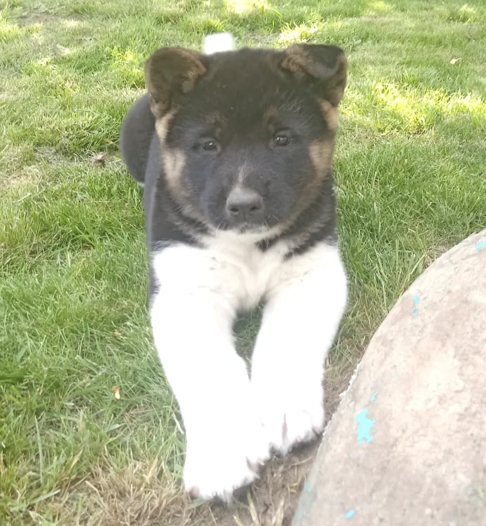 carousel-image-mobile-2