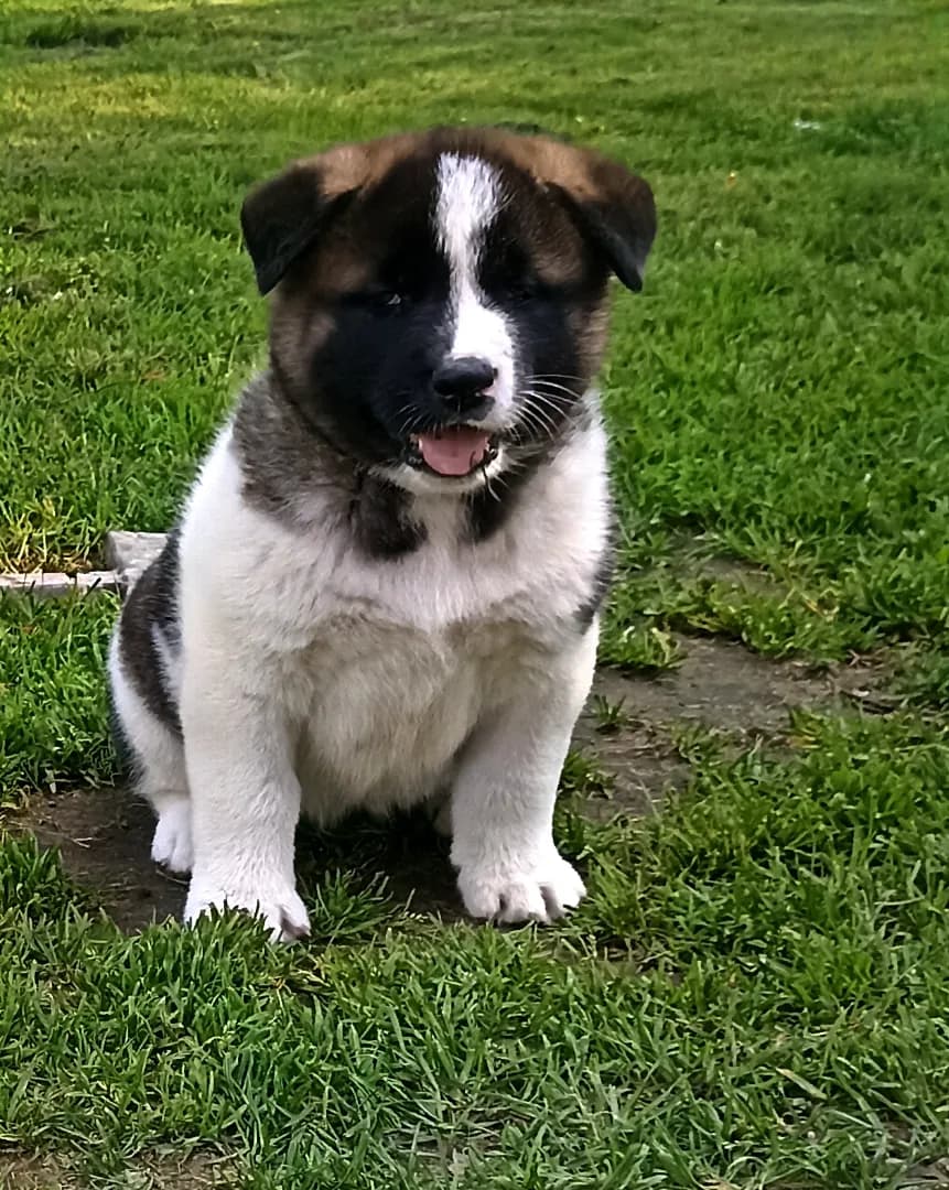 carousel-image-mobile-3