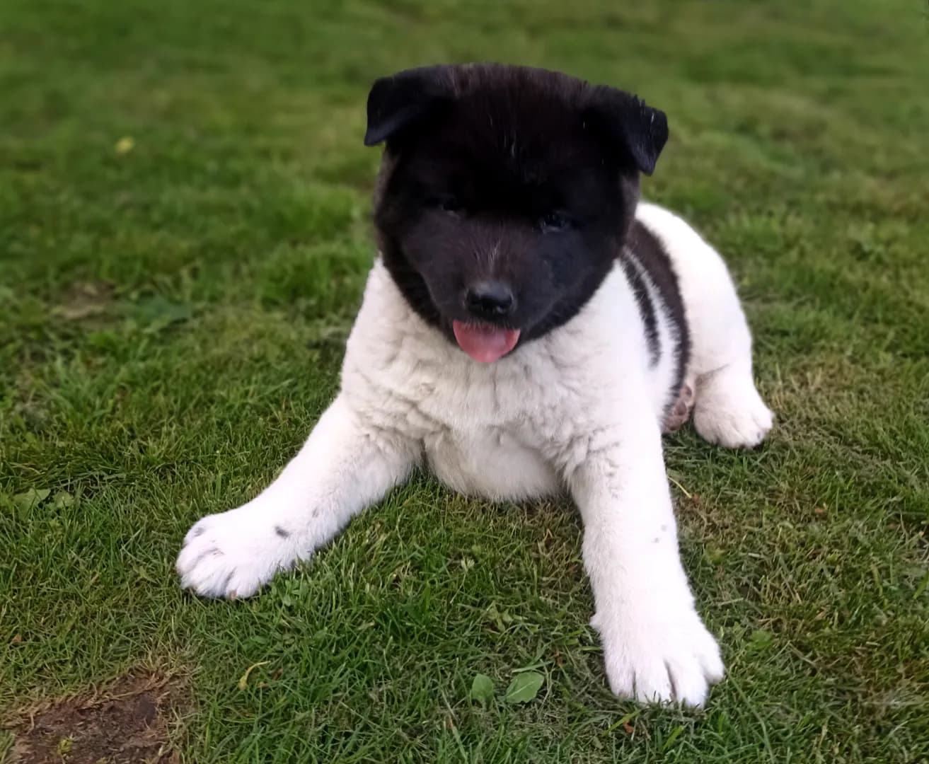 carousel-image-mobile-4