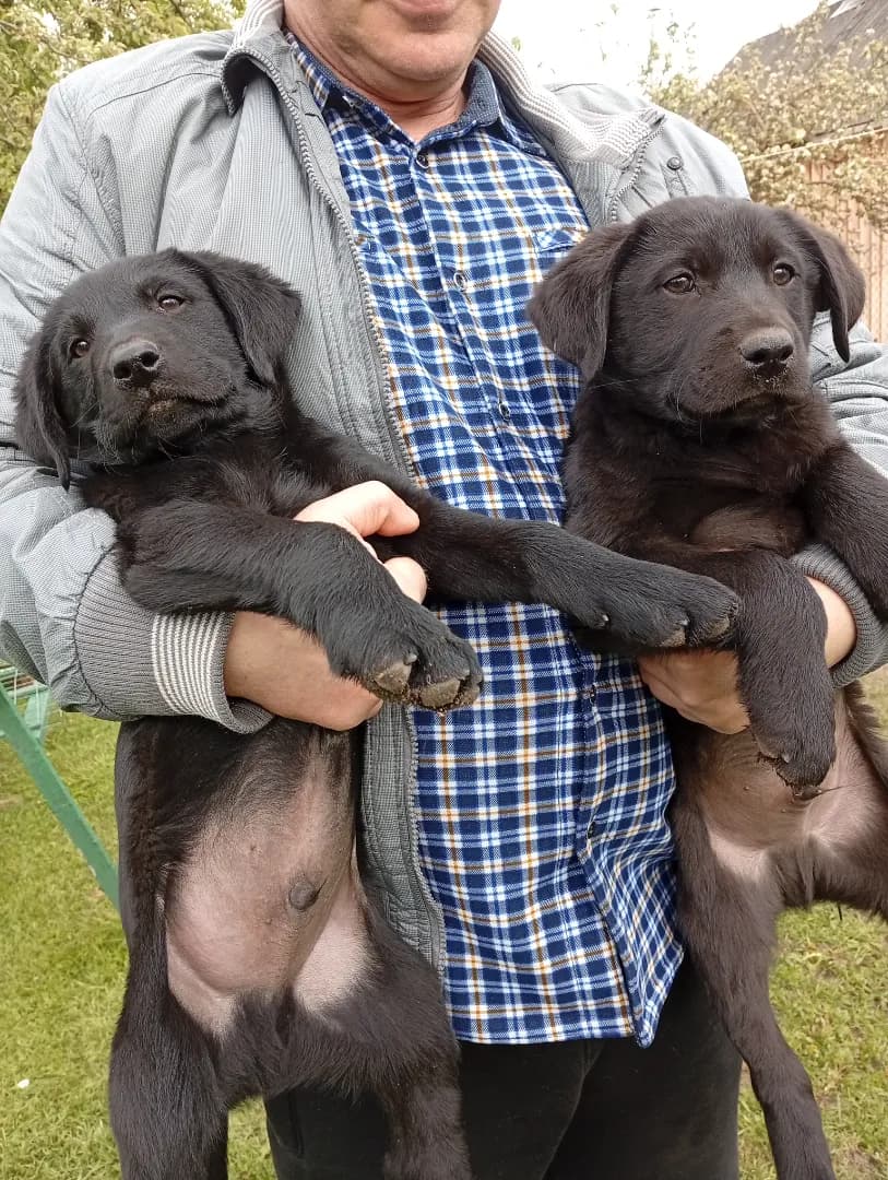 carousel-image-mobile-1