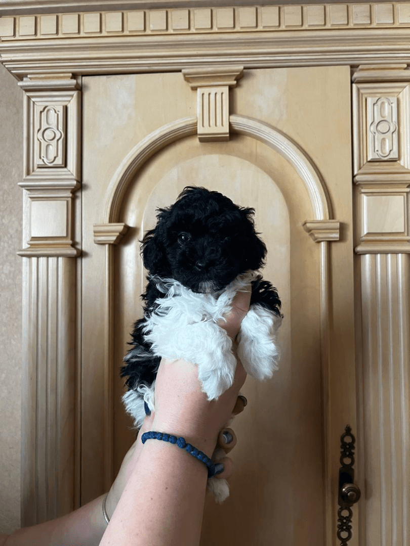 carousel-image-mobile-2