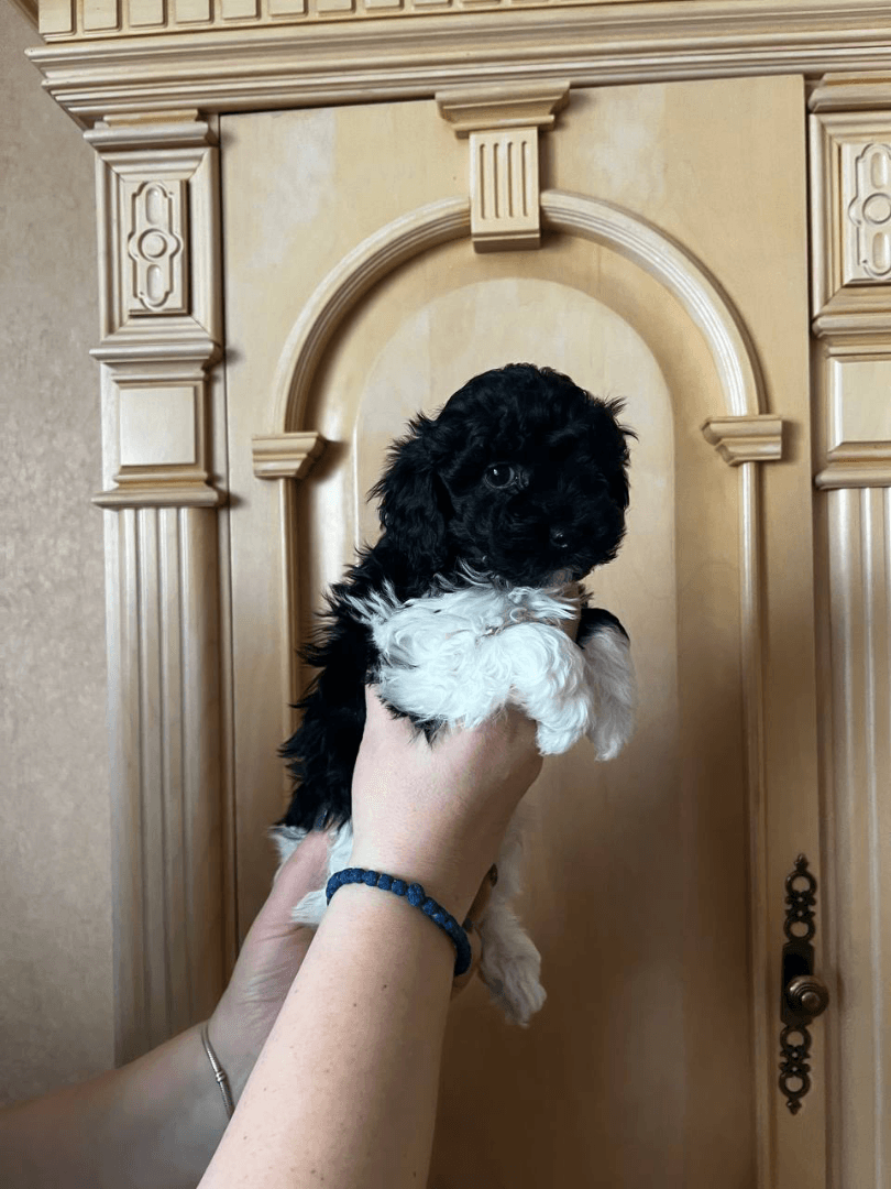 carousel-image-mobile-4