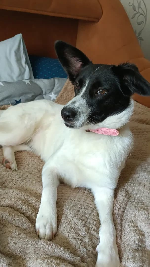 carousel-image-mobile-1