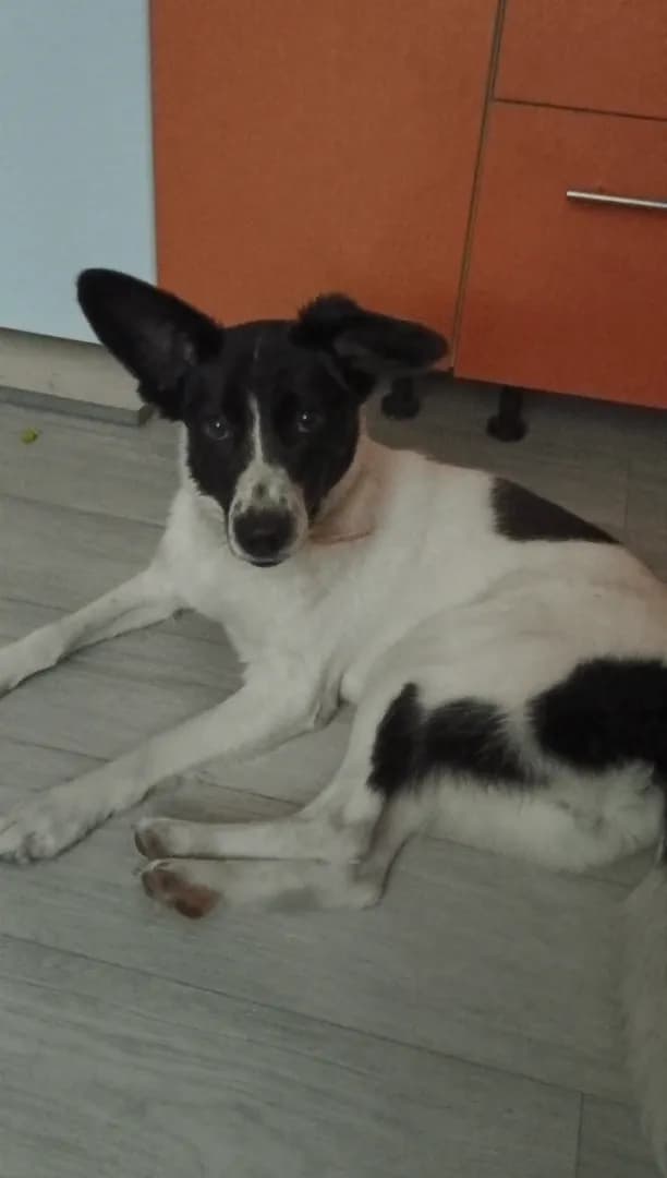 carousel-image-mobile-2