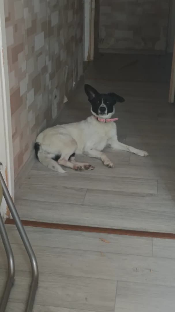 carousel-image-mobile-3