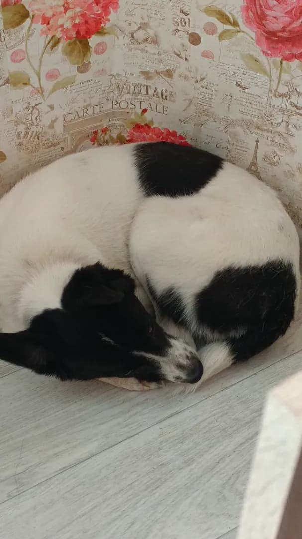 carousel-image-mobile-4