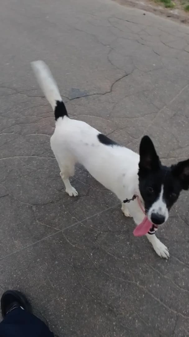 carousel-image-mobile-5