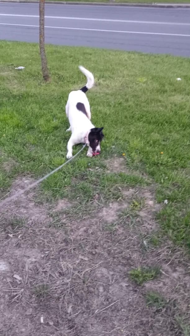 carousel-image-mobile-6