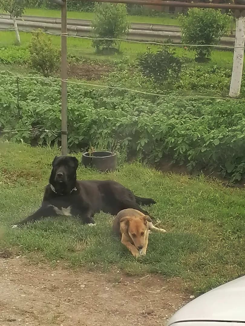 carousel-image-mobile-1