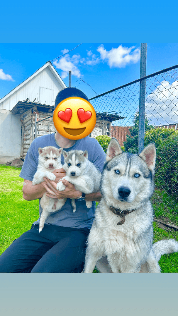 carousel-image-mobile-1