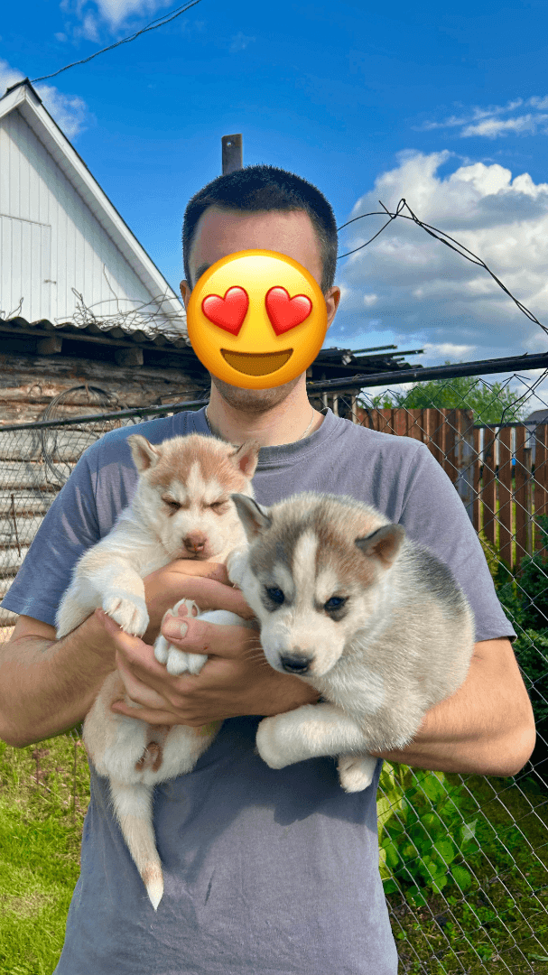 carousel-image-mobile-2