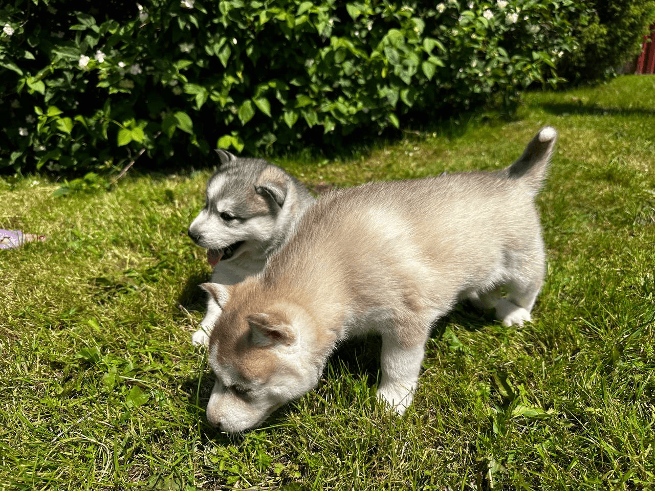 carousel-image-mobile-3