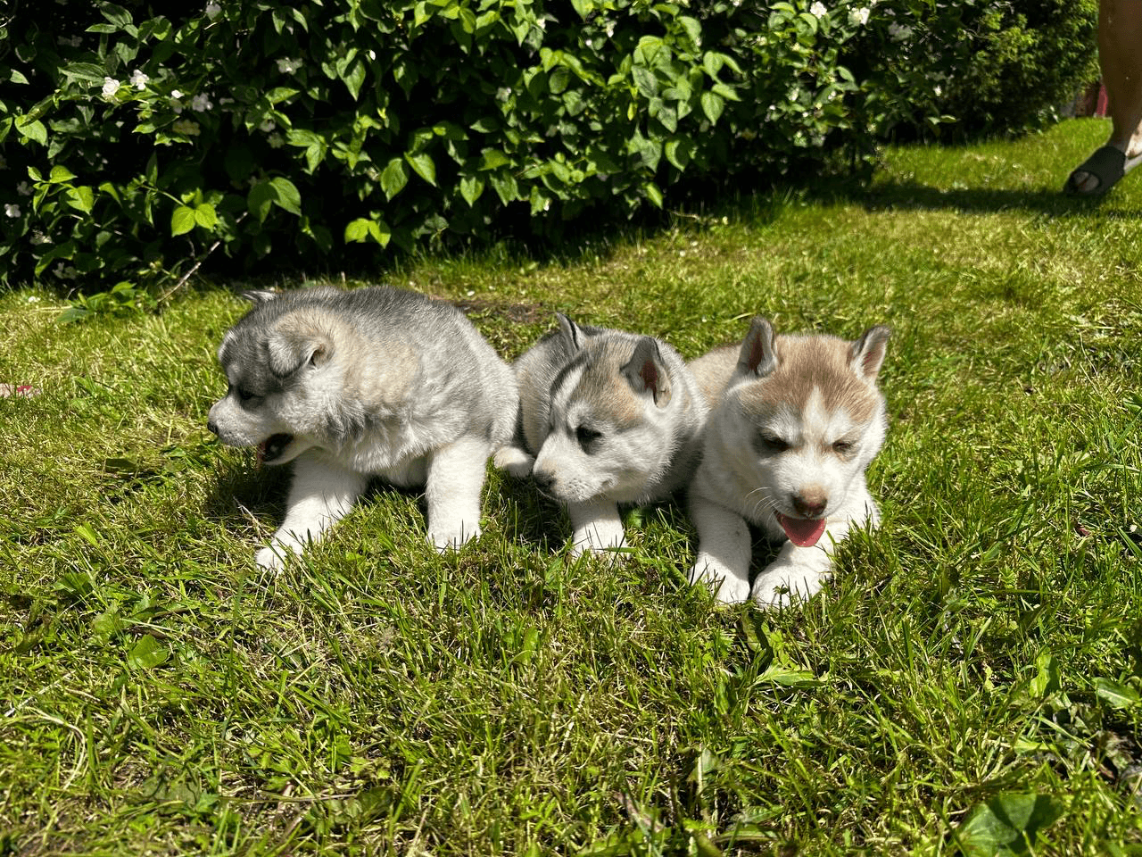 carousel-image-mobile-4