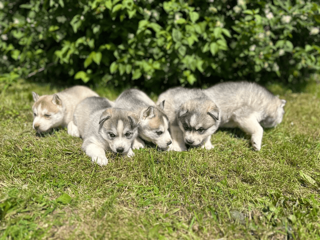 carousel-image-mobile-6