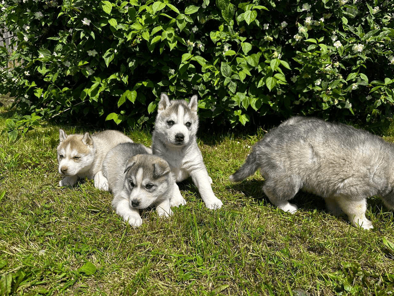 carousel-image-mobile-7