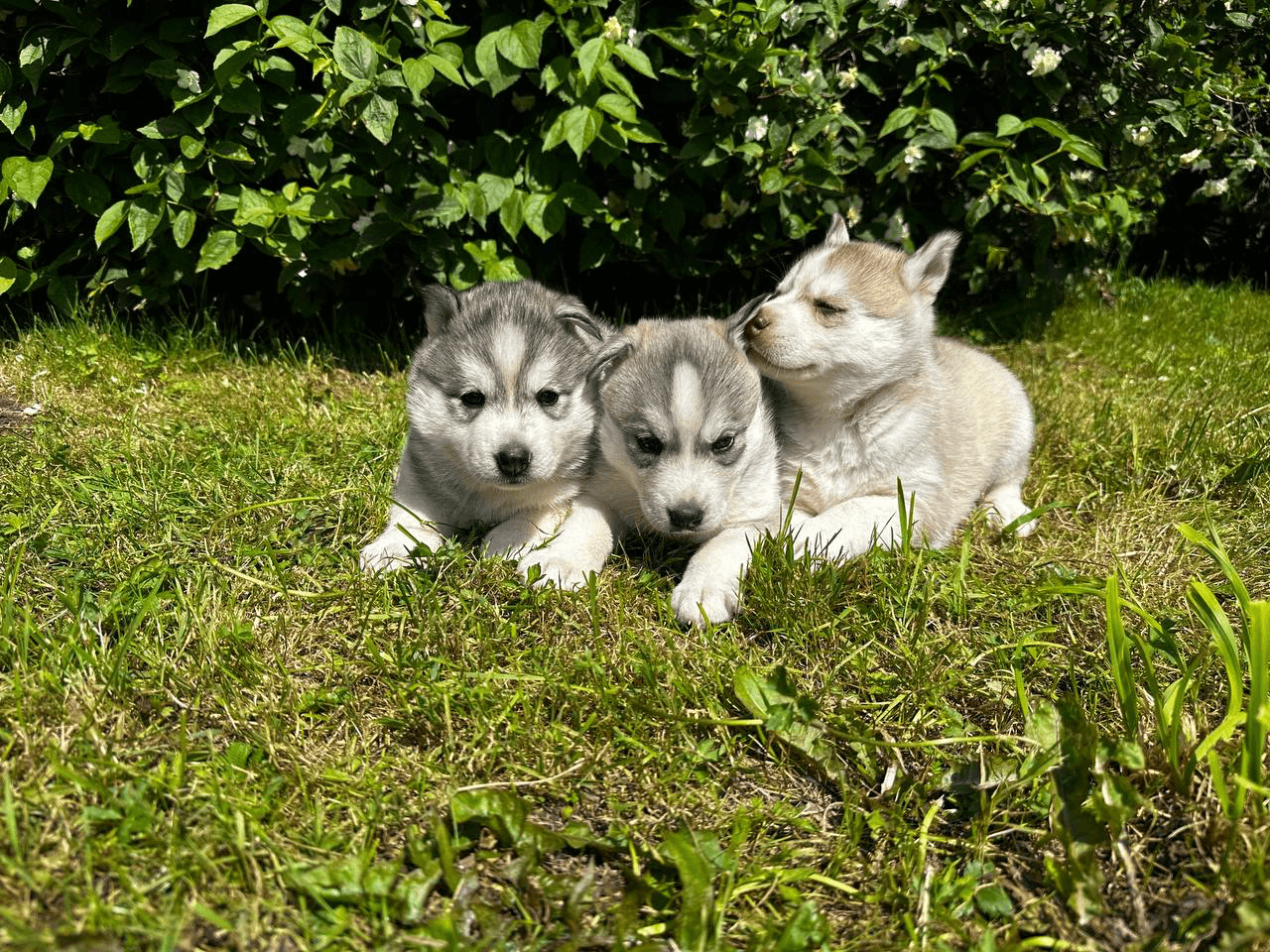 carousel-image-mobile-8