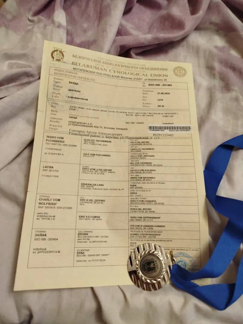 carousel-image-mobile-1