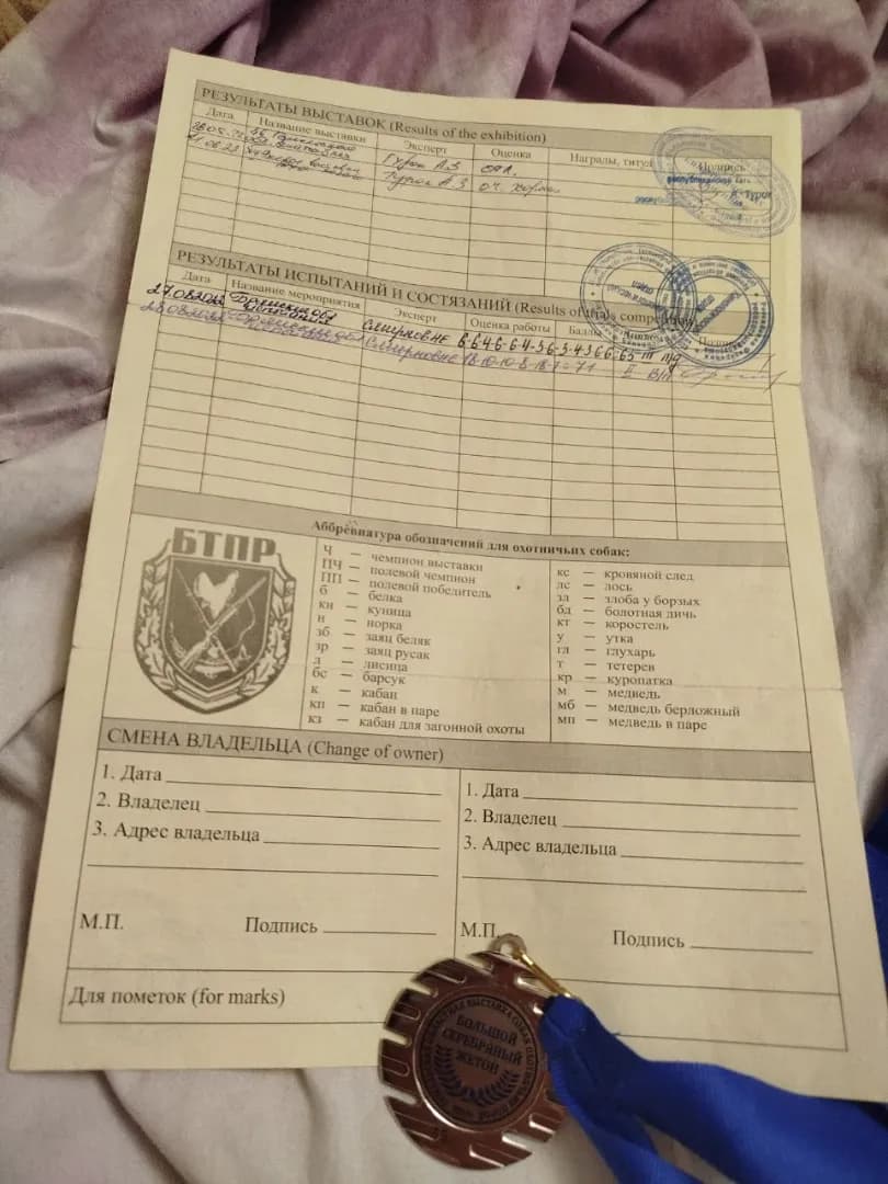 carousel-image-mobile-2