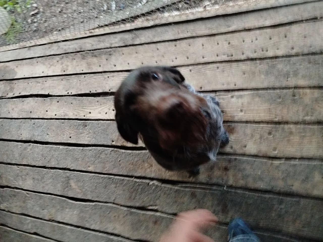 carousel-image-mobile-3