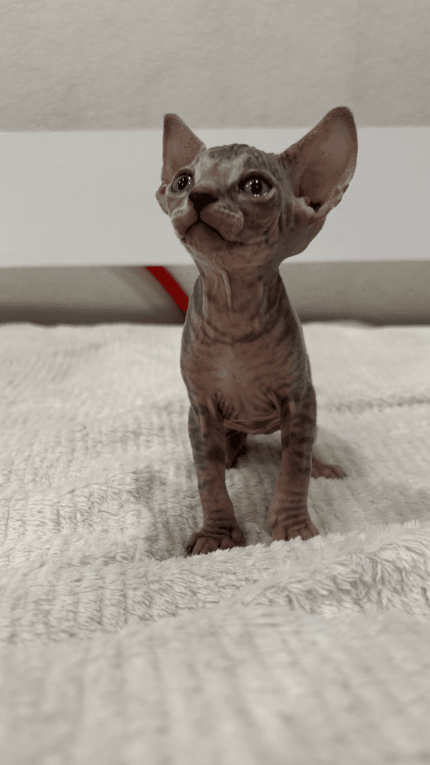 carousel-image-mobile-3