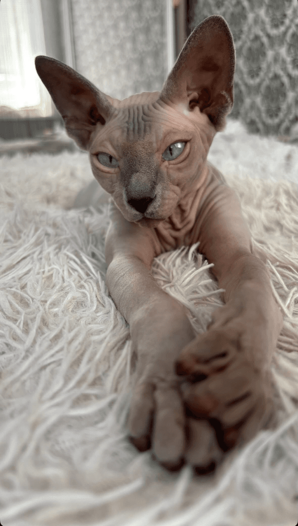 carousel-image-mobile-5