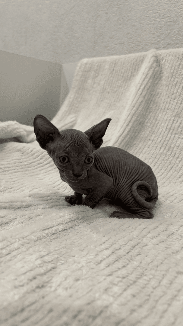 carousel-image-mobile-1