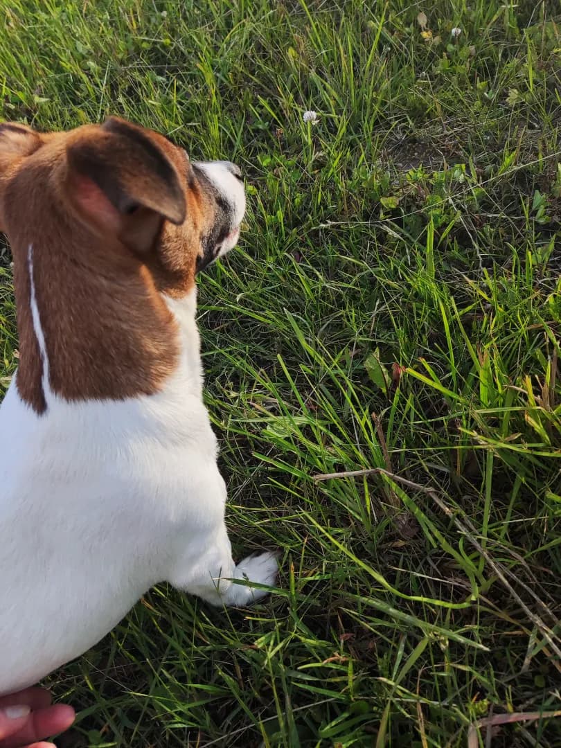 carousel-image-mobile-3